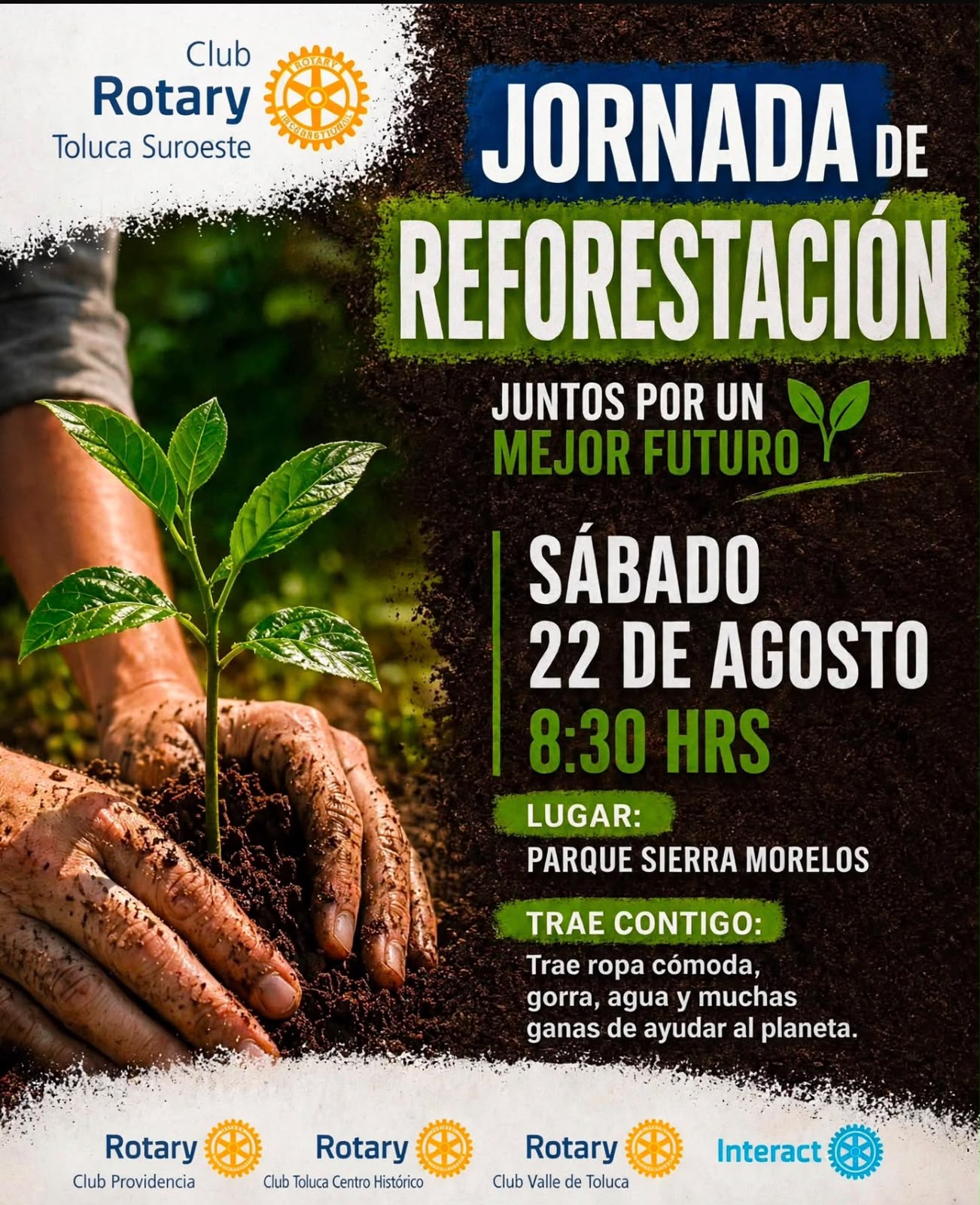 Reforestación
