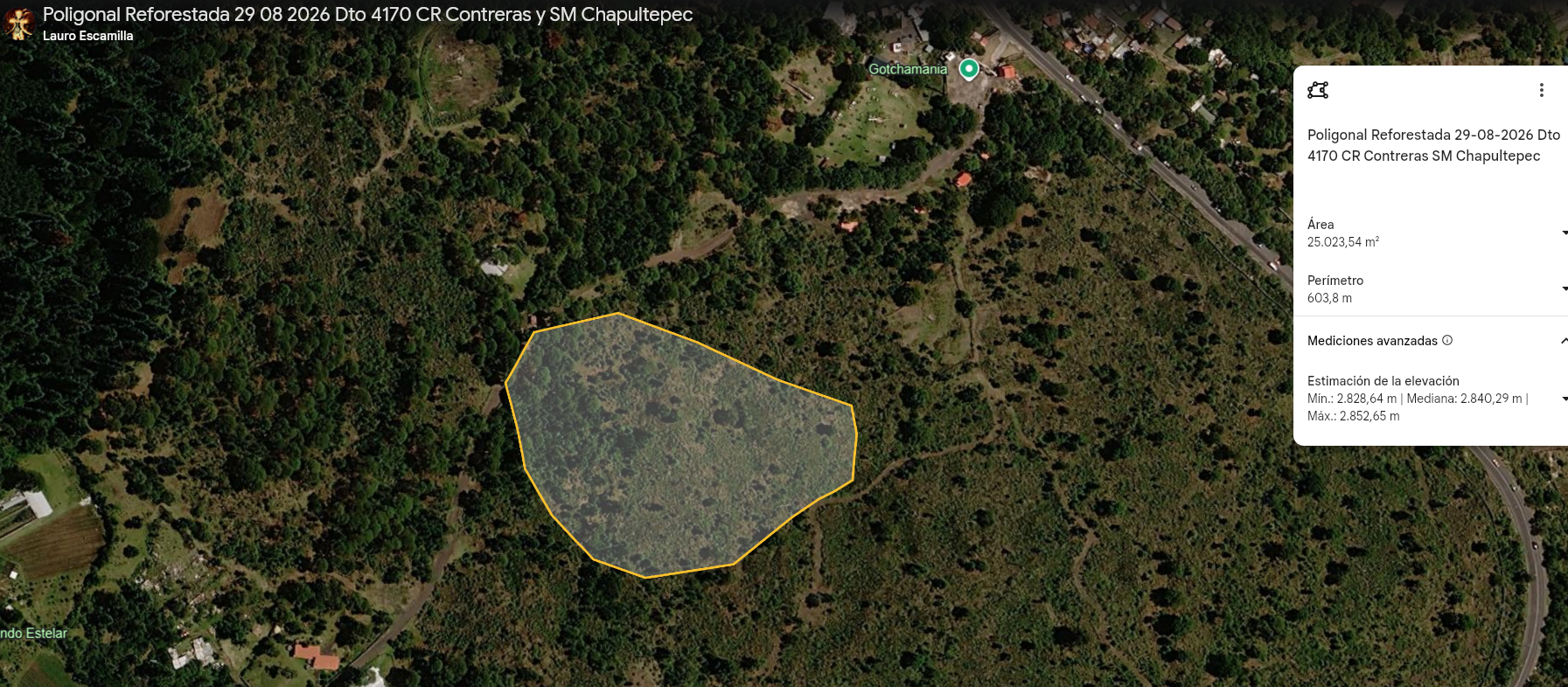Magna Reforestación 2026